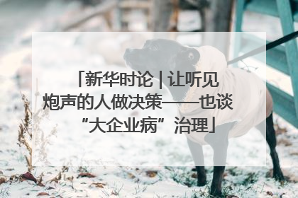 新华时论 | 让听见炮声的人做决策——也谈“大企业病”治理