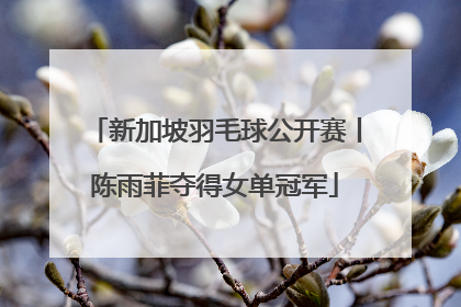 新加坡羽毛球公开赛丨陈雨菲夺得女单冠军