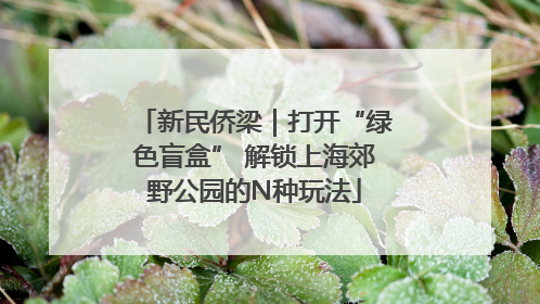 新民侨梁｜打开“绿色盲盒” 解锁上海郊野公园的N种玩法