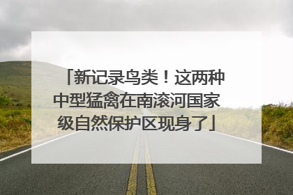 新记录鸟类！这两种中型猛禽在南滚河国家级自然保护区现身了