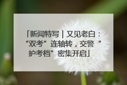 新闻特写｜又见老白：“双考”连轴转，交警“护考档”密集开启