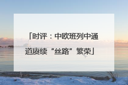 时评：中欧班列中通道赓续“丝路”繁荣