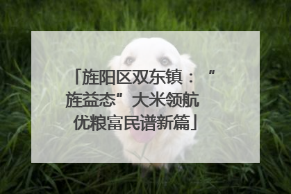 旌阳区双东镇：“旌益态”大米领航 优粮富民谱新篇