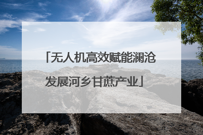 无人机高效赋能澜沧发展河乡甘蔗产业