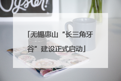 无锡惠山“长三角牙谷”建设正式启动