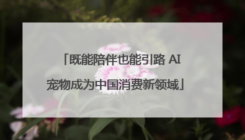 既能陪伴也能引路 AI宠物成为中国消费新领域