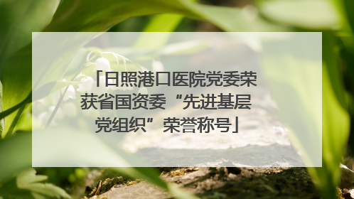日照港口医院党委荣获省国资委“先进基层党组织”荣誉称号