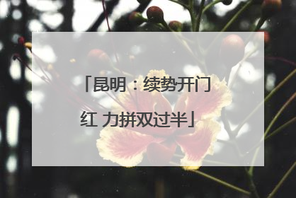 昆明：续势开门红 力拼双过半