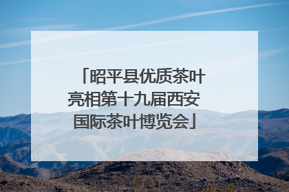 昭平县优质茶叶亮相第十九届西安国际茶叶博览会