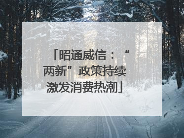 昭通威信：“两新”政策持续激发消费热潮