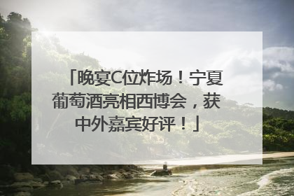 晚宴C位炸场！宁夏葡萄酒亮相西博会，获中外嘉宾好评！