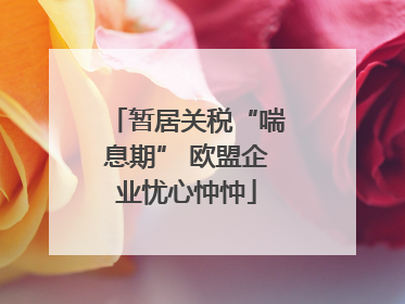 暂居关税“喘息期” 欧盟企业忧心忡忡