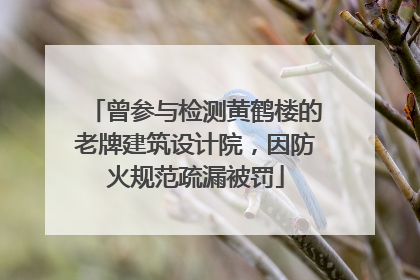 曾参与检测黄鹤楼的老牌建筑设计院，因防火规范疏漏被罚