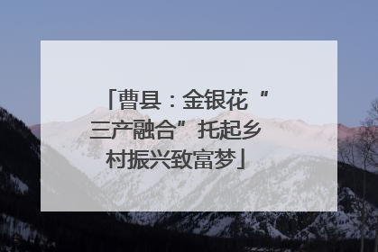 曹县：金银花“三产融合”托起乡村振兴致富梦