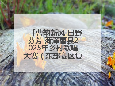 曹韵新风 田野芬芳 菏泽曹县2025年乡村歌唱大赛（东部赛区复赛）举办