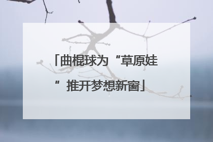 曲棍球为“草原娃”推开梦想新窗