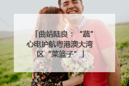 曲靖陆良：“蔬”心电护航粤港澳大湾区“菜篮子”