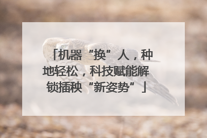 机器“换”人，种地轻松，科技赋能解锁插秧“新姿势”