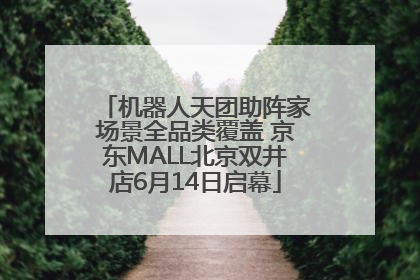 机器人天团助阵家场景全品类覆盖 京东MALL北京双井店6月14日启幕
