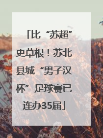 比“苏超”更草根！苏北县城“男子汉杯”足球赛已连办35届