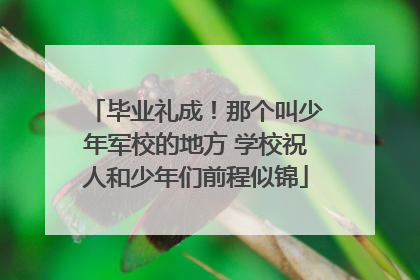 毕业礼成！那个叫少年军校的地方 学校祝人和少年们前程似锦