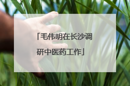 毛伟明在长沙调研中医药工作
