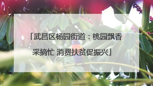 武昌区杨园街道：桃园飘香采摘忙 消费扶贫促振兴