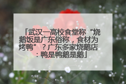 武汉一高校食堂称“烧鹅饭是广东俗称，食材为烤鸭”？广东多家烧鹅店：鸭是鸭鹅是鹅