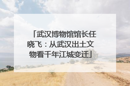 武汉博物馆馆长任晓飞：从武汉出土文物看千年江城变迁