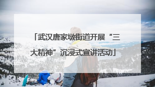 武汉唐家墩街道开展“三大精神”沉浸式宣讲活动