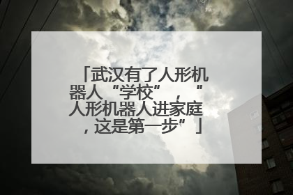武汉有了人形机器人“学校”，“人形机器人进家庭，这是第一步”