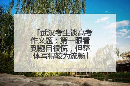 武汉考生谈高考作文题：第一眼看到题目很慌，但整体写得较为流畅