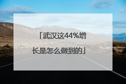 武汉这44%增长是怎么做到的