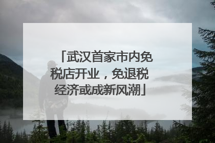 武汉首家市内免税店开业，免退税经济或成新风潮