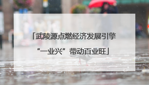武陵源点燃经济发展引擎 “一业兴”带动百业旺