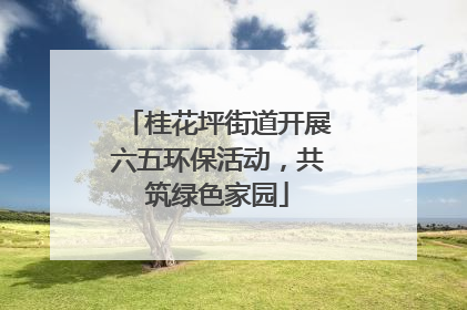 桂花坪街道开展六五环保活动，共筑绿色家园