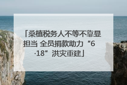 桑植税务人不等不靠显担当 全员捐款助力“6·18”洪灾重建