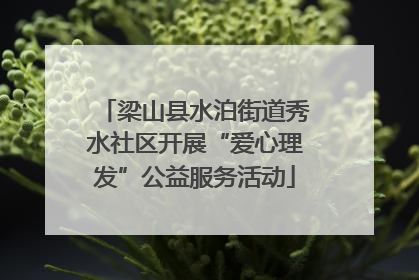 梁山县水泊街道秀水社区开展“爱心理发”公益服务活动