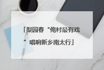 梨园春“俺村最有戏”唱响新乡南太行