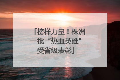 榜样力量！株洲一批“热血英雄”受省级表彰