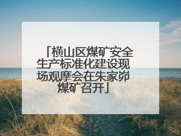 横山区煤矿安全生产标准化建设现场观摩会在朱家峁煤矿召开