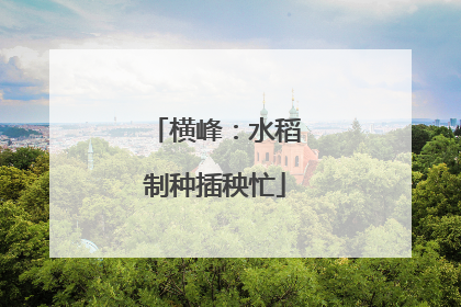 横峰：水稻制种插秧忙