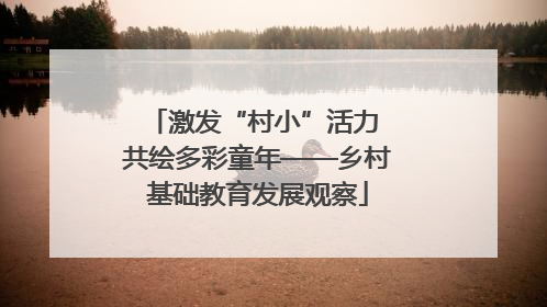 激发“村小”活力 共绘多彩童年——乡村基础教育发展观察