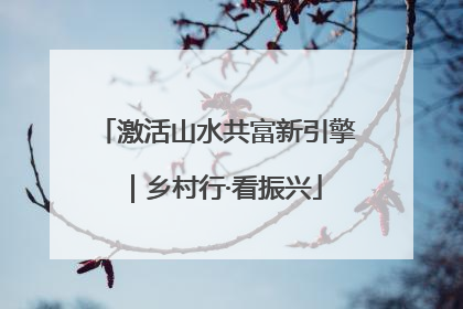 激活山水共富新引擎｜乡村行·看振兴