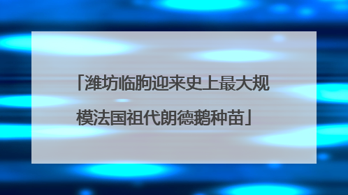 潍坊临朐迎来史上最大规模法国祖代朗德鹅种苗
