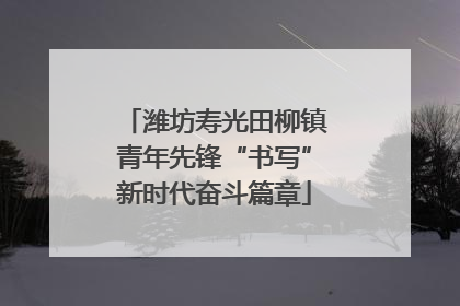 潍坊寿光田柳镇青年先锋“书写”新时代奋斗篇章