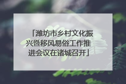 潍坊市乡村文化振兴暨移风易俗工作推进会议在诸城召开