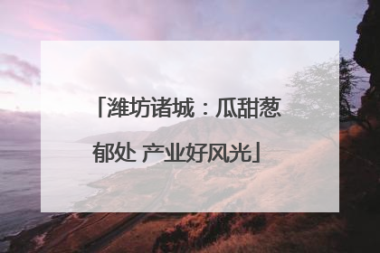 潍坊诸城：瓜甜葱郁处 产业好风光