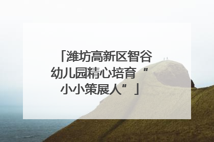 潍坊高新区智谷幼儿园精心培育“小小策展人”
