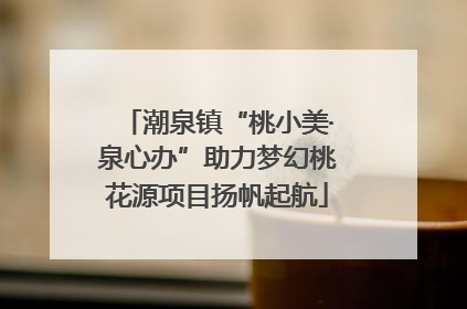 潮泉镇“桃小美·泉心办”助力梦幻桃花源项目扬帆起航